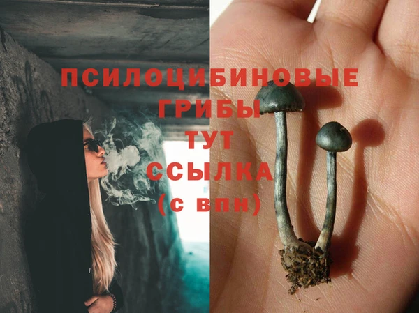 spice Алексин